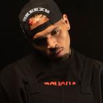 artist image Craig David feat. Chris Brown & Lil Wayne Loyal (Remix) X (Expanded Edition)