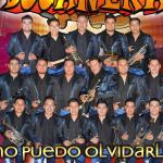 artist image Banda Bucanera La Rana Contra Viento y Marea