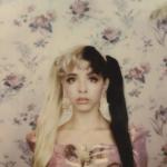 artist image Halsey vs Melanie Martinez Control Party Pitch (RMX) Pity Party (Remixes)