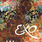 artist image EXO Akwaba Eclats D'afrique