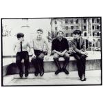 artist image Joy Division New Dawn Fades Unknown Pleasures (Collector's Edition)