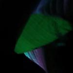 artist image NARUSHITELI_666 Teriyaki Boyz - Tokyo Drift (Callmearco Remix) Tokyo Drift (Callmearco Remix) - Single