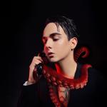 artist image MELOVIN Ти Octopus