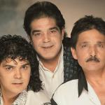 artist image Los Chichos Ni Mas Ni Menos Singles Collection