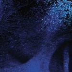 artist image DevilDriver You Make Me Sick Beast