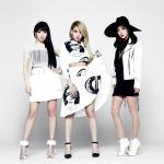 artist image 2NE1 I Dont Care [Official Acapella] 2NE1 1st Mini Album
