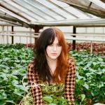 artist image GAYLE abc (The Wild Remix) abc (The Wild Remix) - Single
