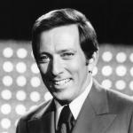 artist image Andy Williams Love Story I'll Never Stop Loving You: The Best of Andy Williams