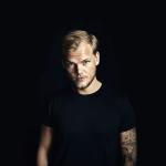 artist image Avicii Hey Brother True