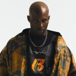 artist image DMX Where The Hood At The Definition Of X: Pick Of The Litter