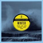 album image Flaws Winter - EP