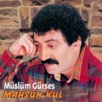 album image Günahkar Oldum Mahsun Kul