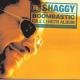 Shaggy feat. Rayvon - In The Summertime