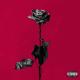 Idfc I M Only A Fool For You Blackbear Edit Audio (1) - Idfc I M Only A Fool For You Blackbear Edit Audio (1)