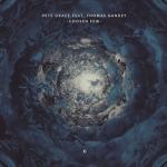 album image Carried On (Betoko Remix) Chosen Few (feat. Thomas Gandey)