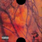 album image JoHn Muir Blank Face LP