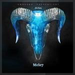 album image Nummer 1 Mele7