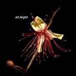 album image Living In The Moment All Night - EP