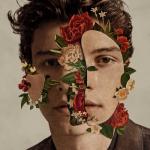 album image In My Blood Shawn Mendes