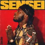 album image Sensei Sensei - Single