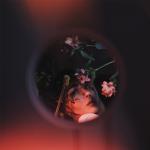 album image ineedsomeone hi, i like you.