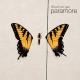 Paramore - Careful