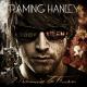 Framing Hanley - You Stupid Girl