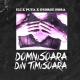 Eli cu George Hora si Puya - Domnisoara din Timisoara 2009 originala(toata piesa)