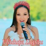 album image De Ce Mă Minți O Fată Hoinară (feat. Rapsozii Maramureșului) - EP