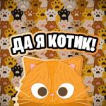 album image Да Я Котик Да Я Котик