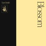 album image Diamonds (Gumanev & Tim Cosmos Remix) Radio Edit Blossom - EP