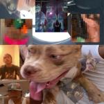 album image Uuuu The Lo-Fis