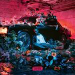 album image Comme toi Fleur froide