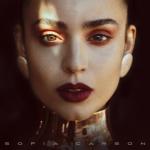 album image Fool's Gold Sofia Carson
