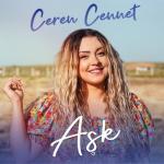 album image Aşk Aşk - Single