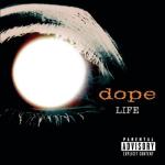album image Slipping Away Life
