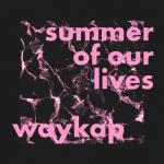 album image Summer of Our Lives Summer of Our Lives (feat. Emmi) - Single