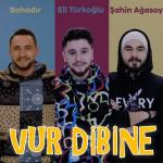 album image Vur Dibine (TRmusic) Vur Dibine (feat. Şahin Ağasoy) - Single