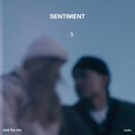 album image Walk Me Home Sentiment
