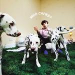 album image AMAZING WHO CARES?