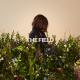 Kristene DiMarco feat. Jason Upton - The Field