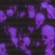 netez, prodby668 - Prolly My Spookiest Beat (slowed + reverb )