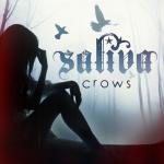 album image Crows Crows - Single