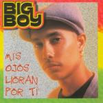 album image Mis Ojos Lloran por Ti (feat. Angel Lopez) Mis Ojos Lloran Por Ti