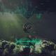 Crossfaith feat. Benji Webbe - Wildfire