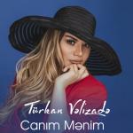 album image Canim Menim 2020 (Dj Tebriz)