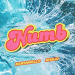 album image Numb Numb - Single