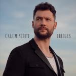 album image Flaws Bridges
