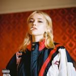 album image Desert Rose High Highs to Low Lows
