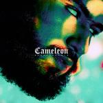album image Obscurité (feat. Hamza) Caméléon